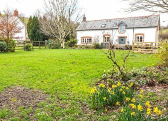 Exterior of The Old Stables - a cottage overlooking a large garden with clumps of daffodils