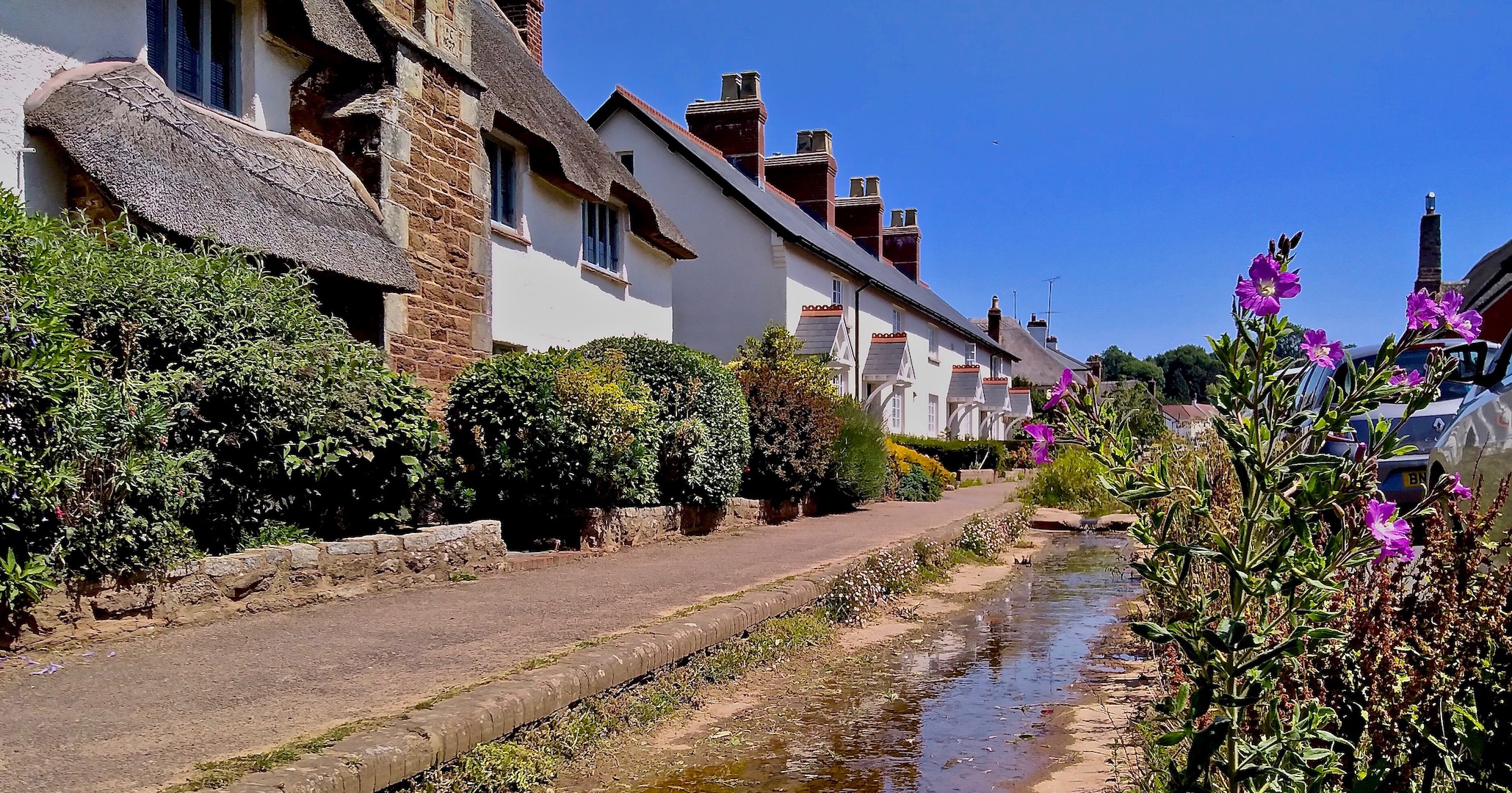 A row of East Devon terraced cottages stand above a small stream which flows past the front gardens in Otterton.