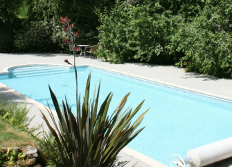 An open air swimming pool surrounded by a terrace with bushes to one side and lawns on the other