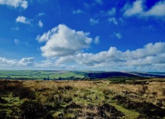 Rows of fluffy white clouds skudding across the sky above a panoramic moorland landscape of heather, bracken and stunted, wind-blown trees.