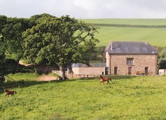 A large large stone barn conversion in Devon surrounded by open fields and mature trees