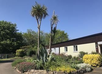 A single storey holiday lodge overlooks a garden with mature palm trees.