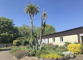 A single-storey holiday lodge overlooks a garden with mature palm trees.