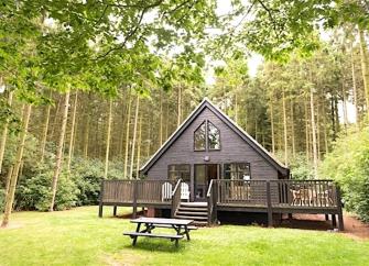A wooden eco-lodge with a large deck in a pine clearing.
