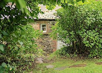 A glimpse of a cottage wall and window peeping through a gap between bushes.