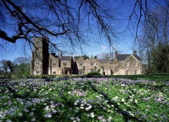 A sprawling country house with a tower overlooks a garden full of flowering crocuses.