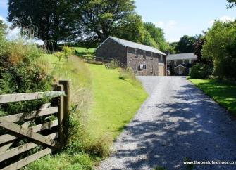 A drive flanked by lawns to two Exmoor barn conversions  overlooked by beech trees.