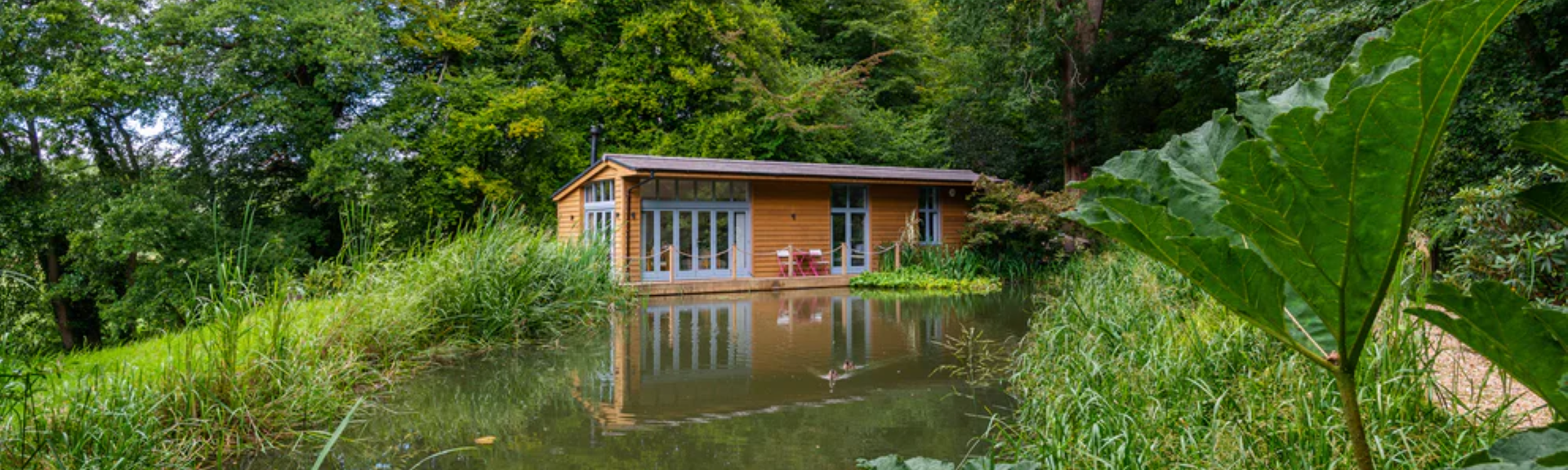 A pine lodge nestles in woodland overlooking a small lake with ducks swimming on it