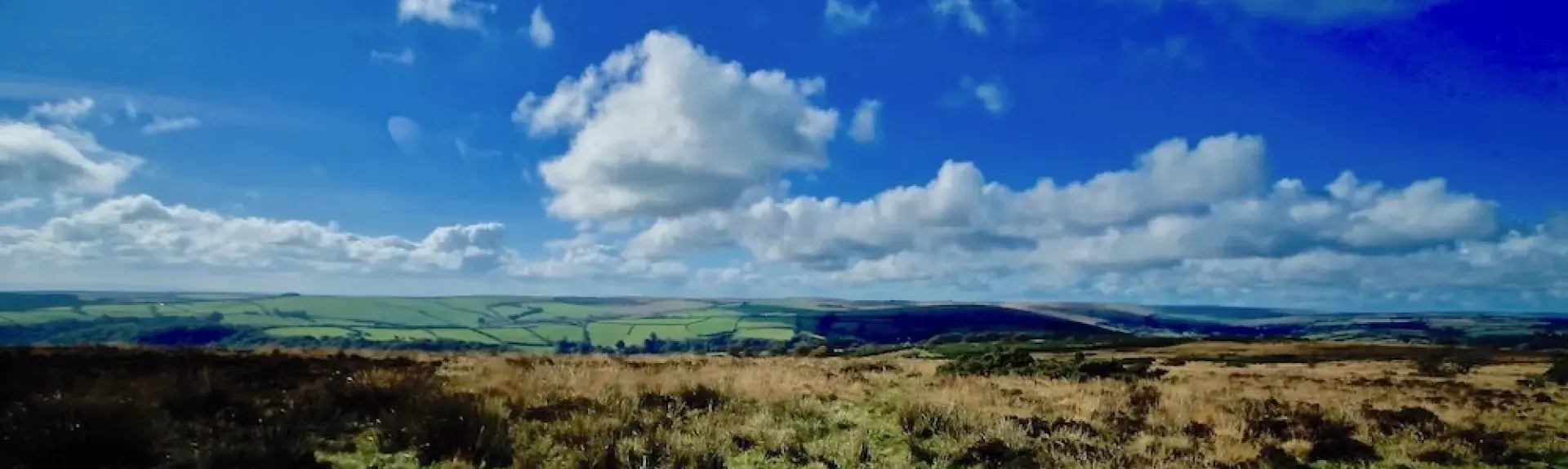 Rows of fluffy white clouds skudding across the sky above a panoramic moorland landscape of heather, bracken and stunted, wind-blown trees.