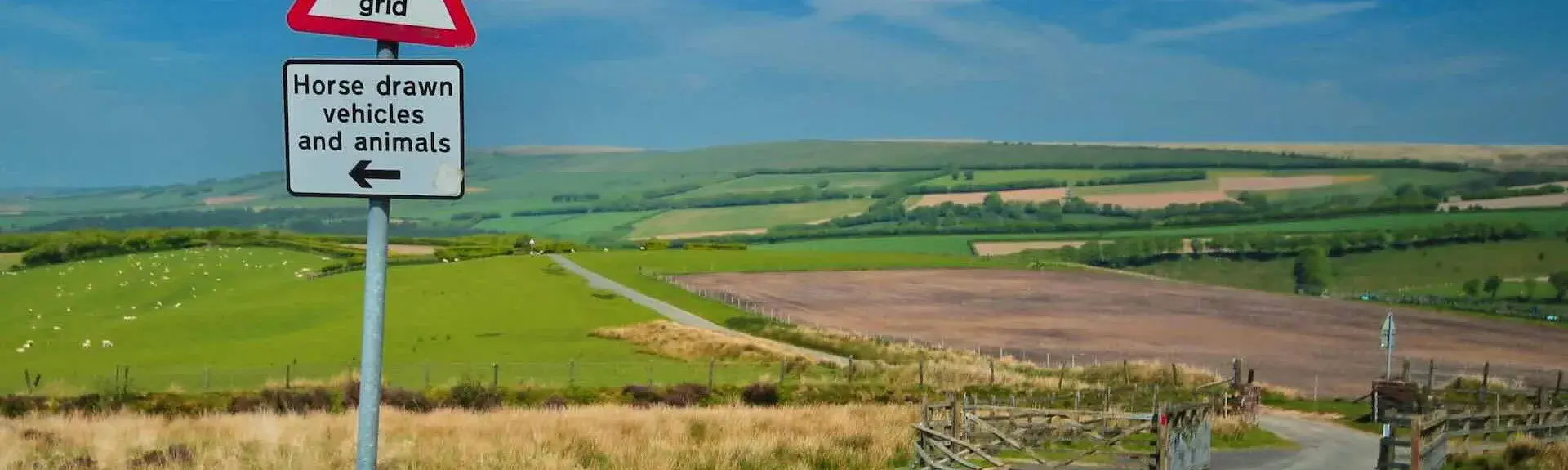 A hedgeless Exmoor road approaches a cattle grid besides a roadside warning sign.