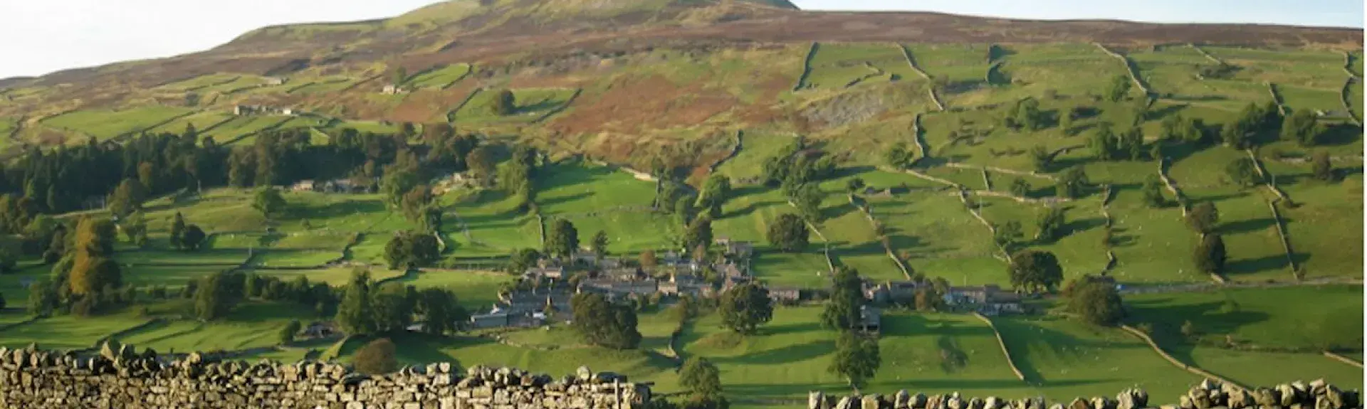 A Pennine landscape of hillside field divided by stone walls above Richmond.