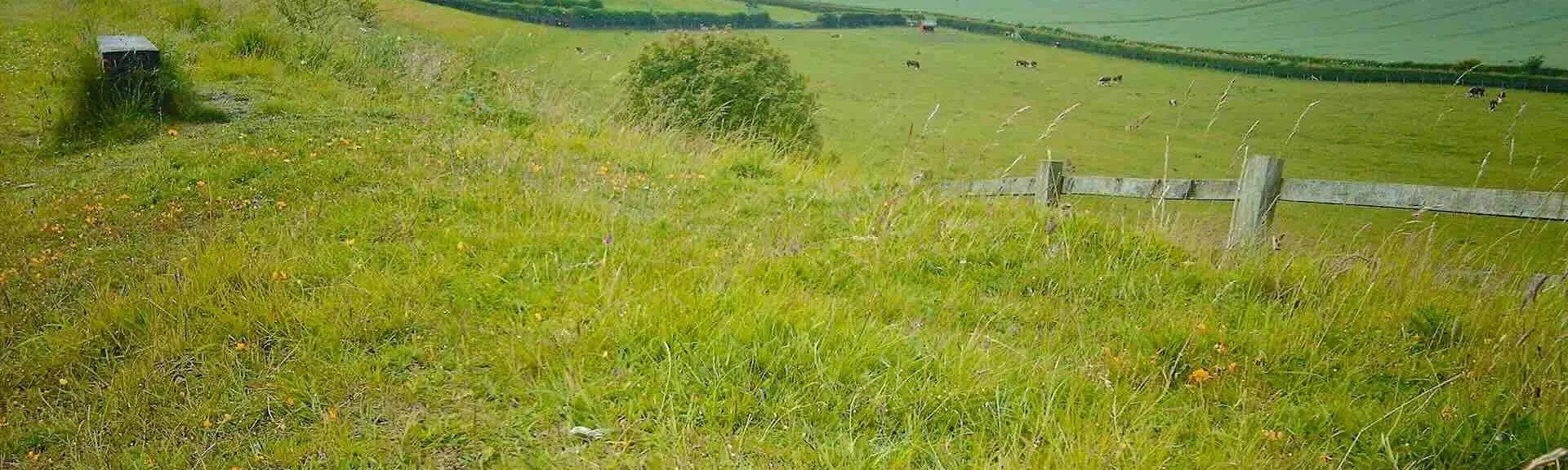 Panoramic rural views from a railway embankment in use as a footpath.