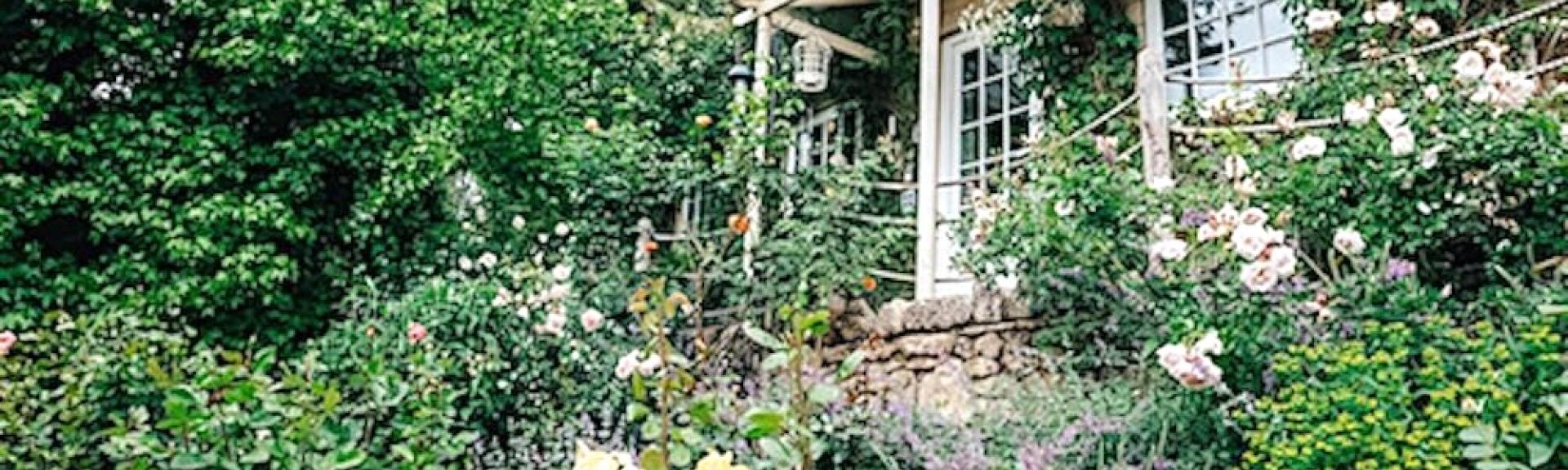 A cottage window and French doors are semi-hidden by a flowering mass of climbing roses.