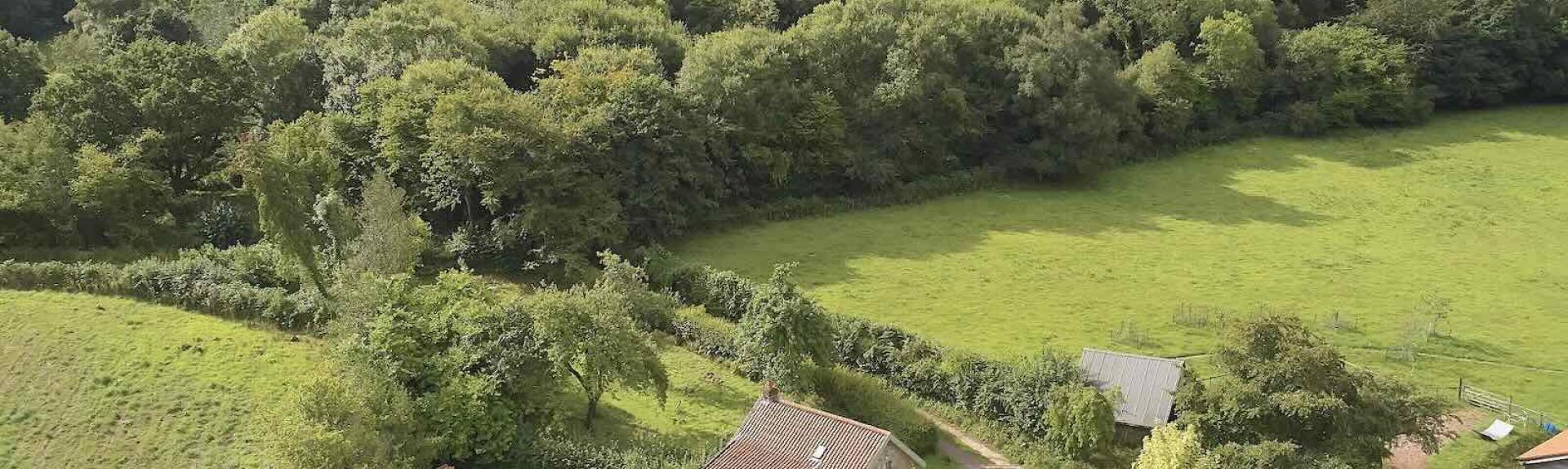 Aerial view of a holiday cottage surrounded by fields beneath a hilltop wood.
