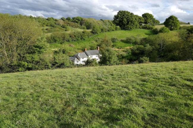 A rural location in high summer, with fields, hedgerows and a white-painted cottage in the middle distance.