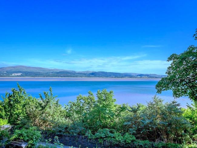 Beyond a row of trees is a large estuary with a beach and dunes on its far bank.