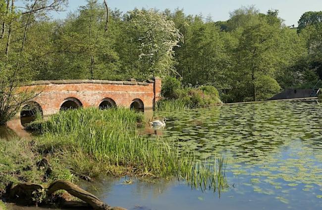 AN OLD 4-ARCHED BRIDGE CROSS A LAKEA 4-arched stone bridge crosses a tree-lined lake covered with lily pads.