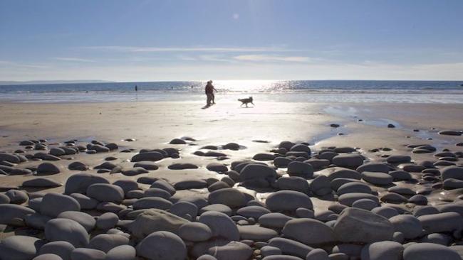 A mn and dog on a sandy beach silhouetted against the setting sun walk along the waves edge on Notham beach.