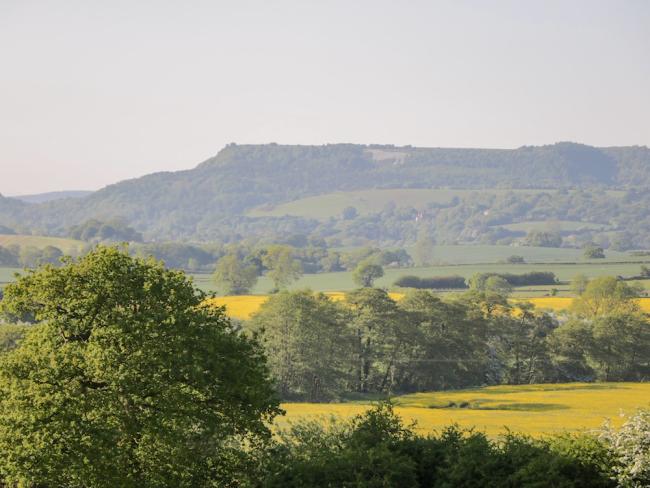 A distant view across a valley with fields of rape flowers in full bloom.