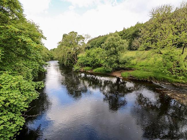 The wide, tree-lined, slow-flowing River Tees curves around a bend in summer.