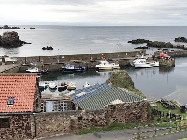 Fishing boats lie moored to a quayside overlooked by harbour buildings.