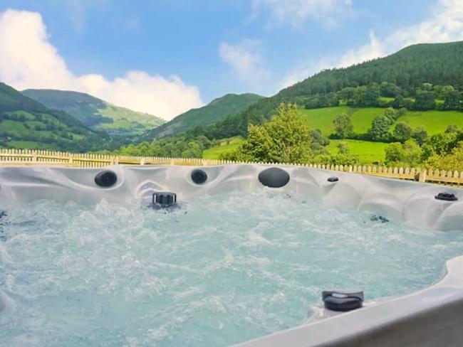 A view from a hot tub of tree and fields in the Powys counntryside.