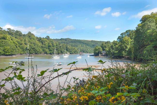 Small boats moored on a sandy river creek lined by mature woods at low tide,