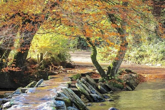 A historic clapper bridge crosses a youthful, fast flowing river overhung by trees in autumn.