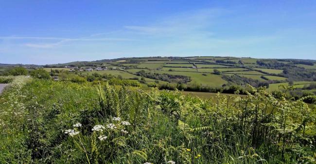 Seen over the top of a  hedge a small Exmoor village nestles on the side of a distant hill.