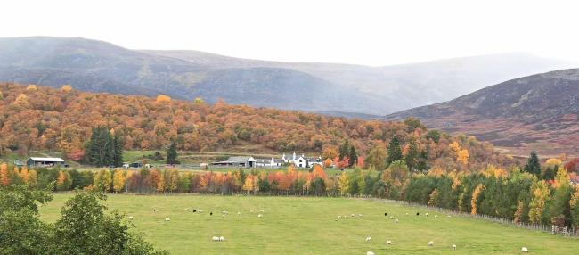 A colourful autumn landscape of rollling hills with fields and woods surrounding Biallid, a holiday home in the Cairngorms.